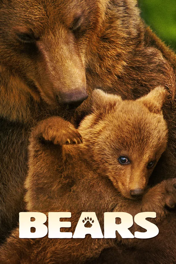 Poster phim Bears trên Xem Phim Fun