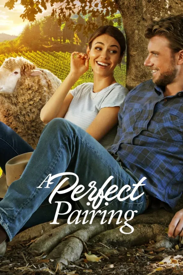 Poster phim Bộ Đôi Hoàn Mỹ trên Xem Phim Fun